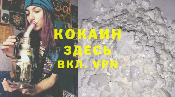 гидра Абаза