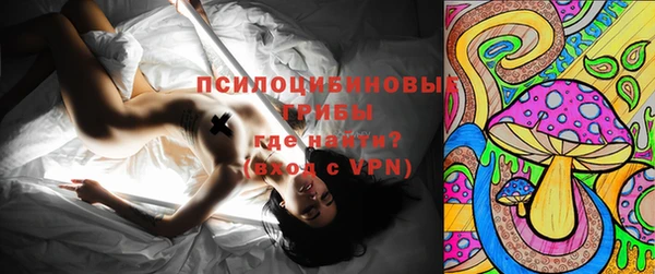 PSILOCYBIN Абинск