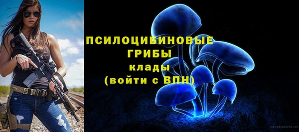 PSILOCYBIN Абинск