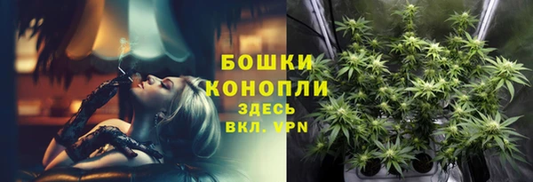 гидра Абаза
