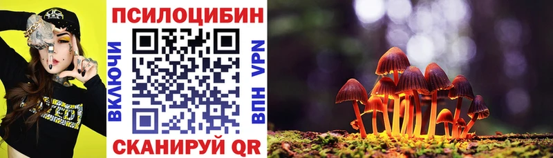 Псилоцибиновые грибы мицелий  Горячеводский 